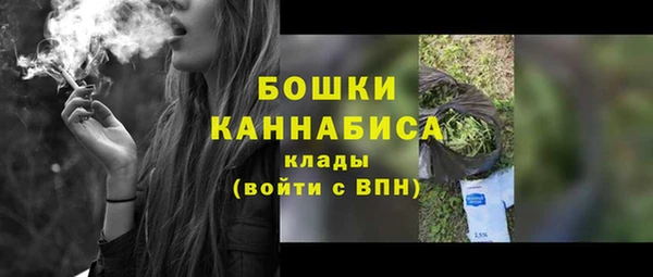 крисы Мегион