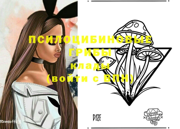 крисы Мегион