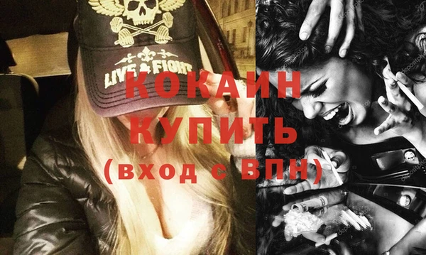 крисы Мегион