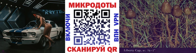 Купить закладки  Обнинск  Псилоцибиновые грибы Psilocybe 